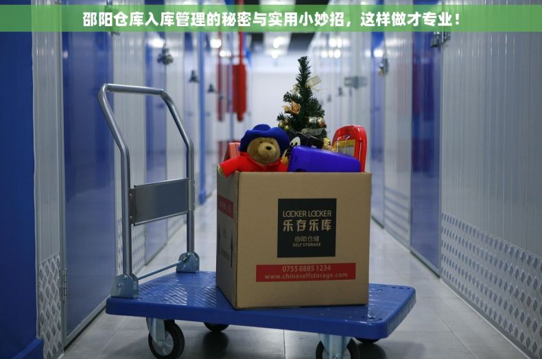 邵阳仓库入库管理的秘密与实用小妙招，这样做才专业！