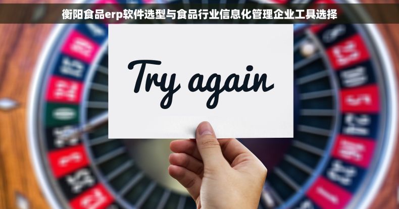 衡阳食品erp软件选型与食品行业信息化管理企业工具选择