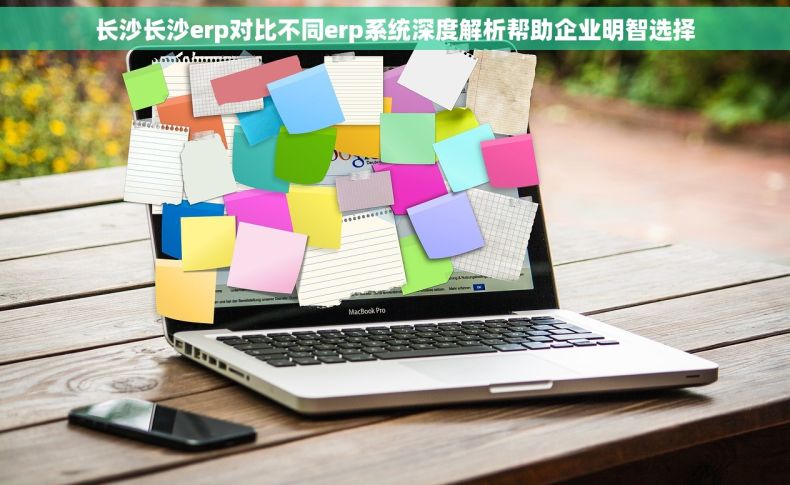 长沙长沙erp对比不同erp系统深度解析帮助企业明智选择