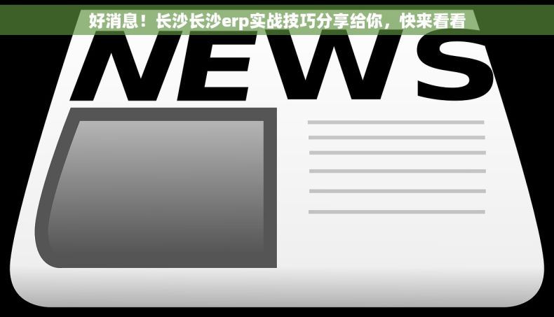 好消息！长沙长沙erp实战技巧分享给你，快来看看