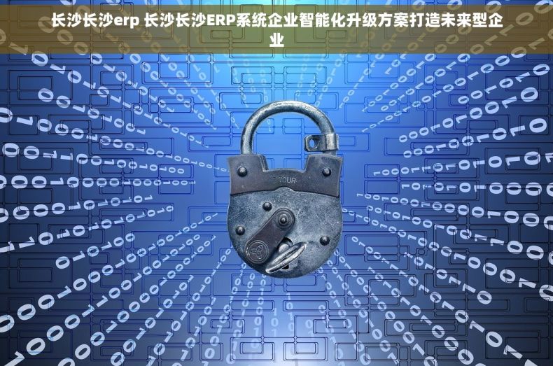 长沙长沙erp 长沙长沙ERP系统企业智能化升级方案打造未来型企业