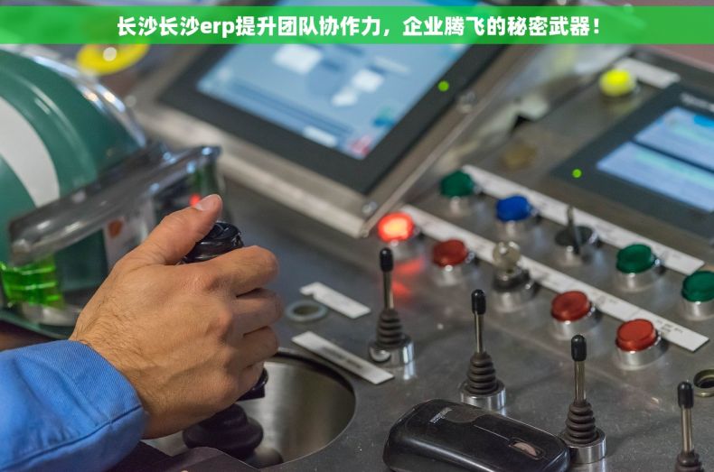 长沙长沙erp提升团队协作力，企业腾飞的秘密武器！