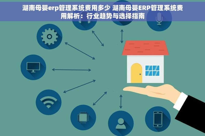 湖南母婴erp管理系统费用多少 湖南母婴ERP管理系统费用解析：行业趋势与选择指南