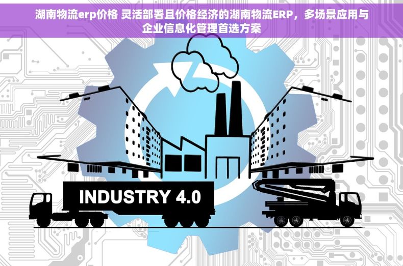 湖南物流erp价格 灵活部署且价格经济的湖南物流ERP，多场景应用与企业信息化管理首选方案