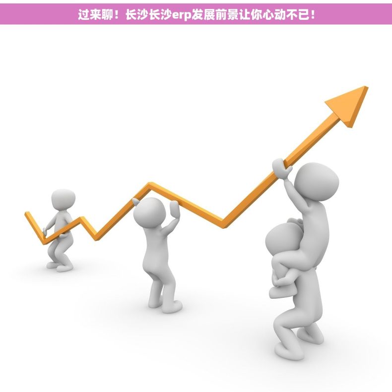 过来聊！长沙长沙erp发展前景让你心动不已！