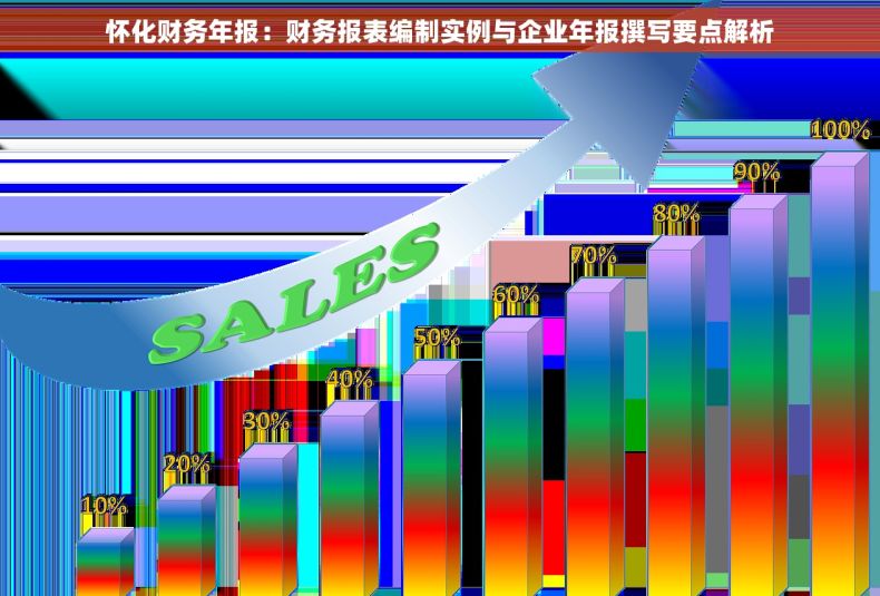 怀化财务年报：财务报表编制实例与企业年报撰写要点解析