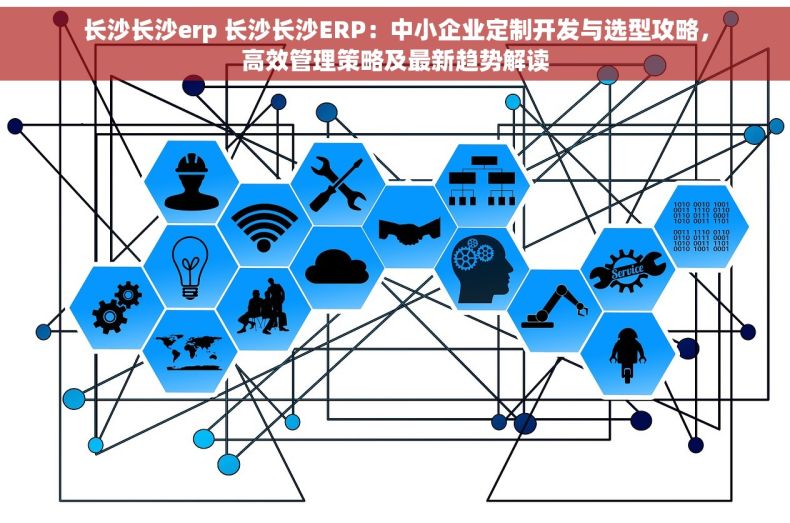 长沙长沙erp 长沙长沙ERP：中小企业定制开发与选型攻略，高效管理策略及最新趋势解读