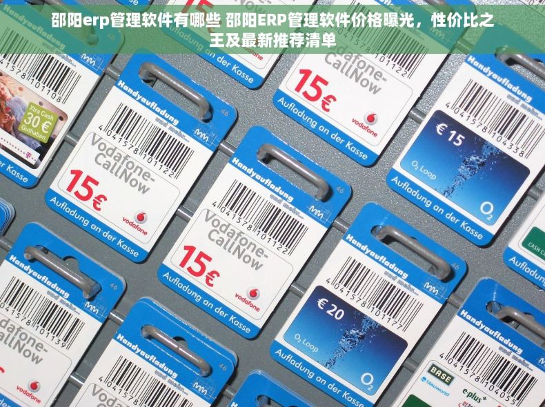 邵阳erp管理软件有哪些 邵阳ERP管理软件价格曝光，性价比之王及最新推荐清单