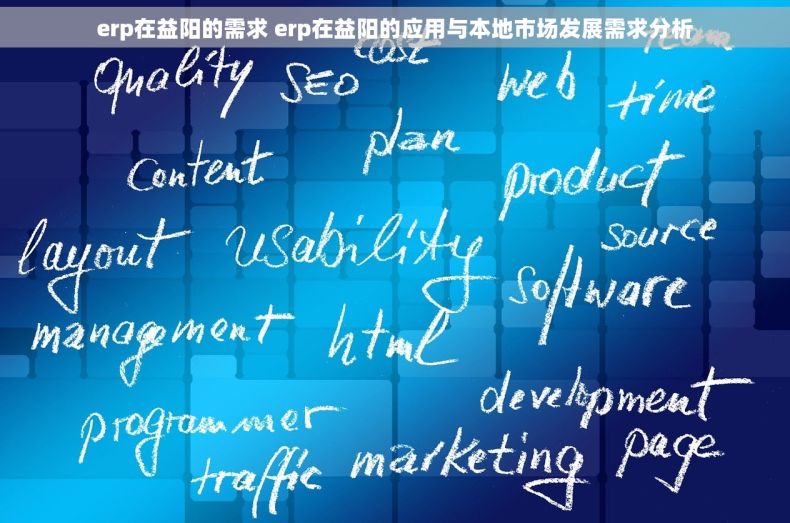 erp在益阳的需求 erp在益阳的应用与本地市场发展需求分析