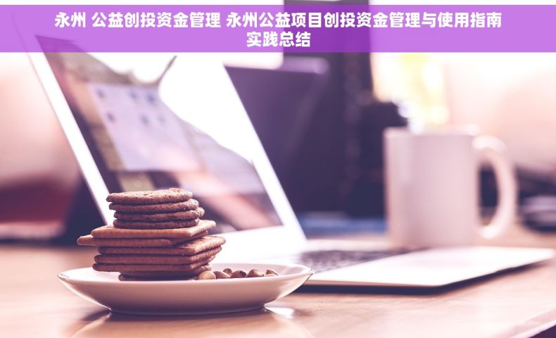 永州 公益创投资金管理 永州公益项目创投资金管理与使用指南实践总结