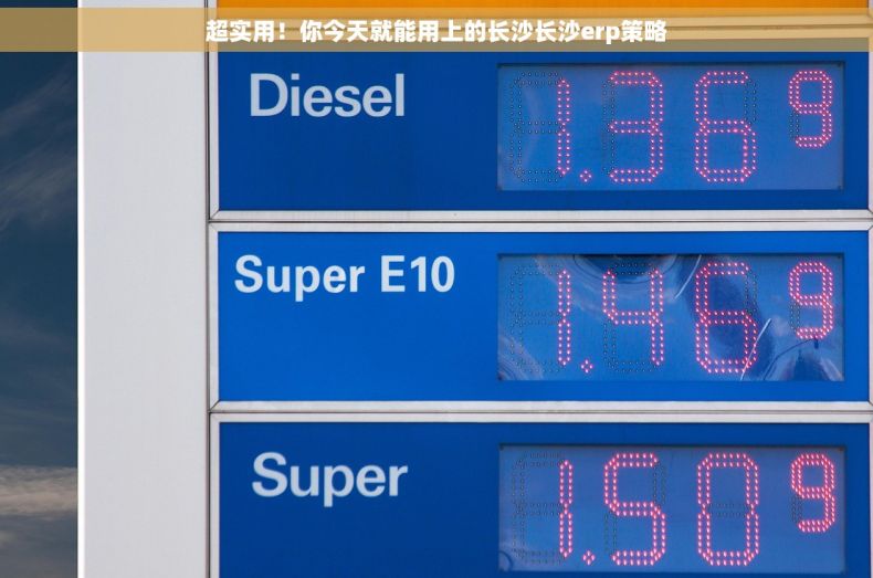 超实用！你今天就能用上的长沙长沙erp策略