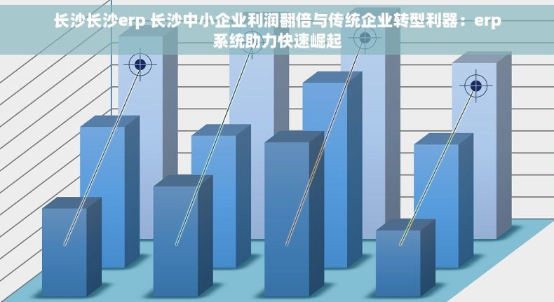 长沙长沙erp 长沙中小企业利润翻倍与传统企业转型利器：erp系统助力快速崛起