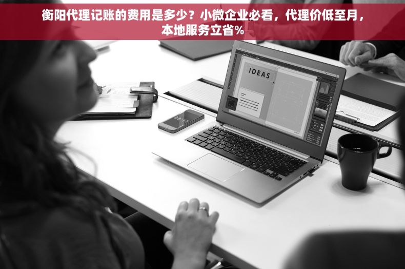 衡阳代理记账的费用是多少？小微企业必看，代理价低至月，本地服务立省%