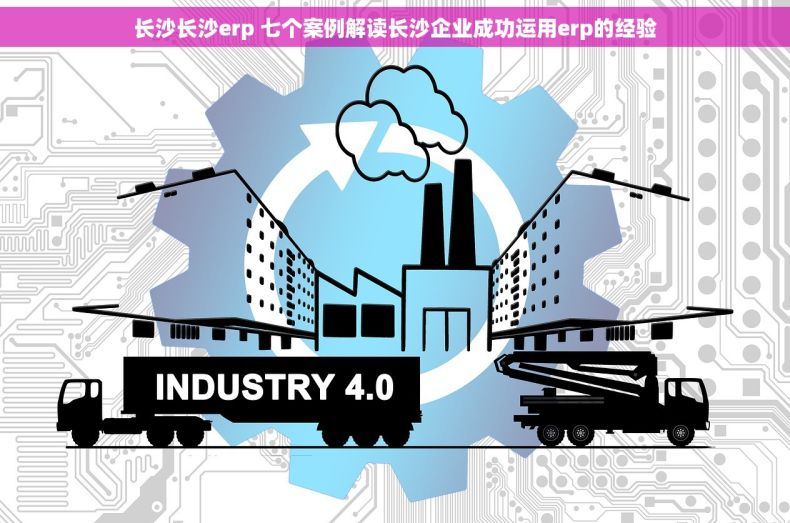 长沙长沙erp 七个案例解读长沙企业成功运用erp的经验