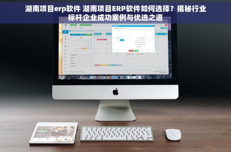 湖南项目erp软件 湖南项目ERP软件如何选择？揭秘行业标杆企业成功案例与优选之道