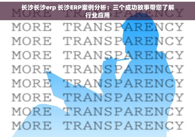 长沙长沙erp 长沙ERP案例分析：三个成功故事带您了解行业应用