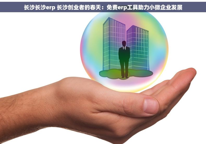 长沙长沙erp 长沙创业者的春天：免费erp工具助力小微企业发展