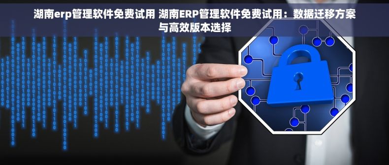 湖南erp管理软件免费试用 湖南ERP管理软件免费试用：数据迁移方案与高效版本选择