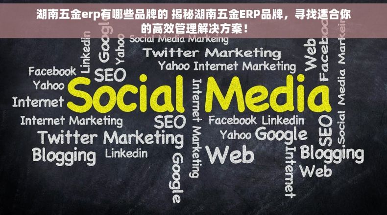 湖南五金erp有哪些品牌的 揭秘湖南五金ERP品牌，寻找适合你的高效管理解决方案！