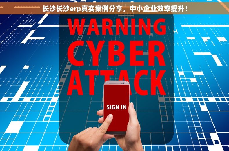 长沙长沙erp真实案例分享，中小企业效率提升！