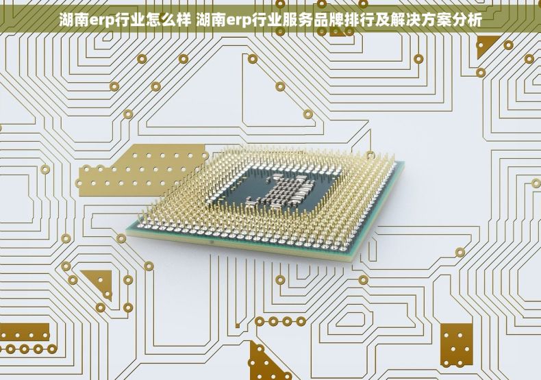 湖南erp行业怎么样 湖南erp行业服务品牌排行及解决方案分析