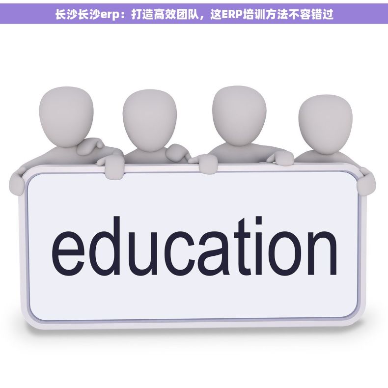 长沙长沙erp：打造高效团队，这ERP培训方法不容错过