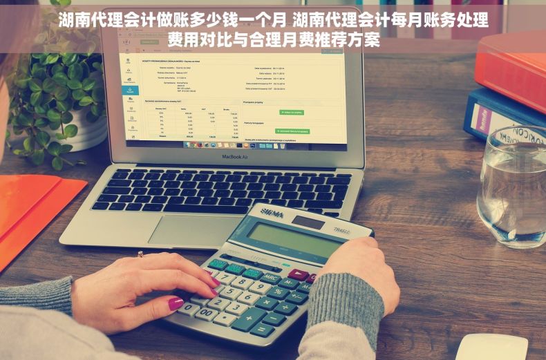 湖南代理会计做账多少钱一个月 湖南代理会计每月账务处理费用对比与合理月费推荐方案