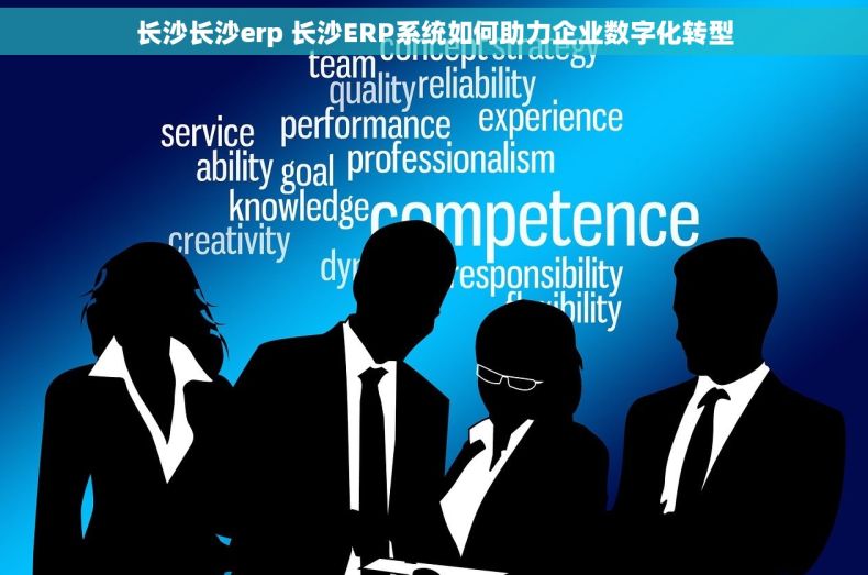 长沙长沙erp 长沙ERP系统如何助力企业数字化转型