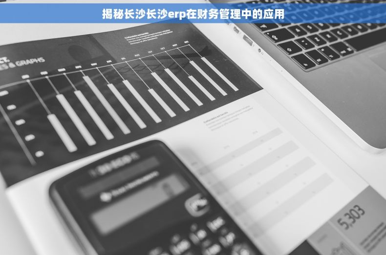 揭秘长沙长沙erp在财务管理中的应用