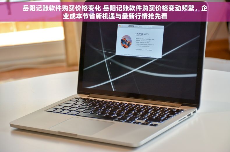 岳阳记账软件购买价格变化 岳阳记账软件购买价格变动频繁，企业成本节省新机遇与最新行情抢先看