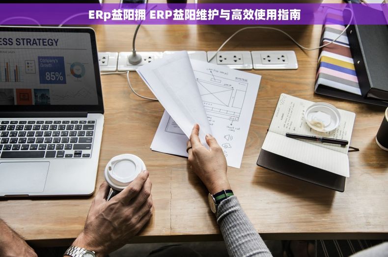 ERp益阳拥 ERP益阳维护与高效使用指南
