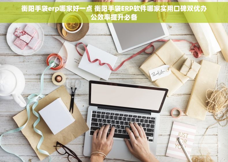 衡阳手袋erp哪家好一点 衡阳手袋ERP软件哪家实用口碑双优办公效率提升必备