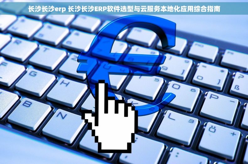 长沙长沙erp 长沙长沙ERP软件选型与云服务本地化应用综合指南