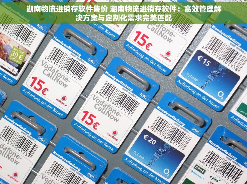 湖南物流进销存软件售价 湖南物流进销存软件：高效管理解决方案与定制化需求完美匹配