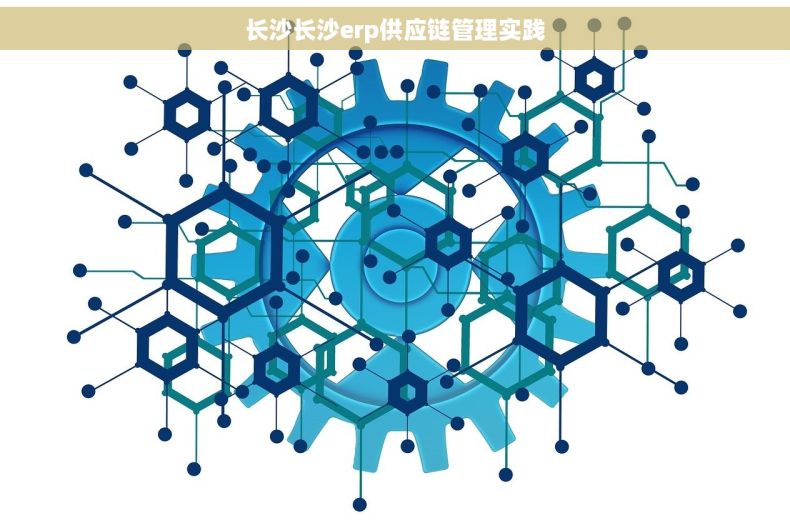 长沙长沙erp供应链管理实践