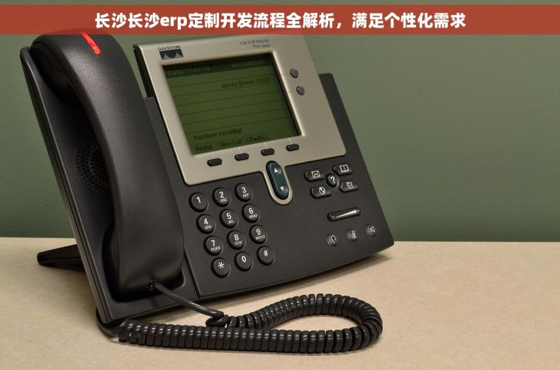 长沙长沙erp定制开发流程全解析，满足个性化需求
