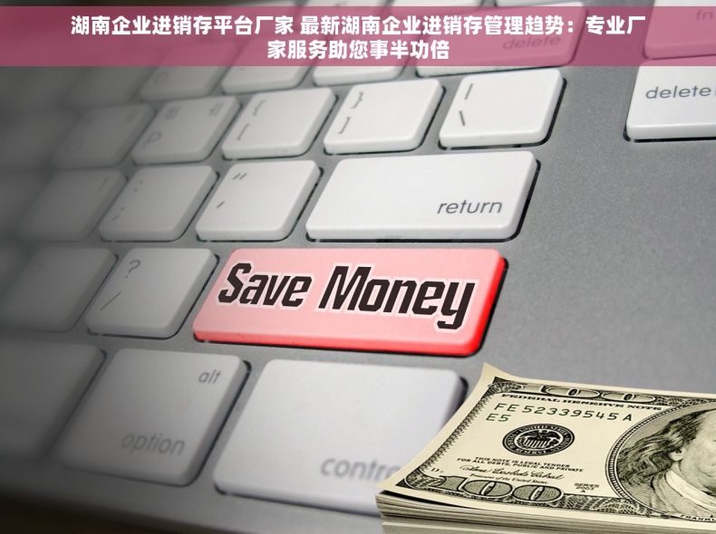 湖南企业进销存平台厂家 最新湖南企业进销存管理趋势：专业厂家服务助您事半功倍