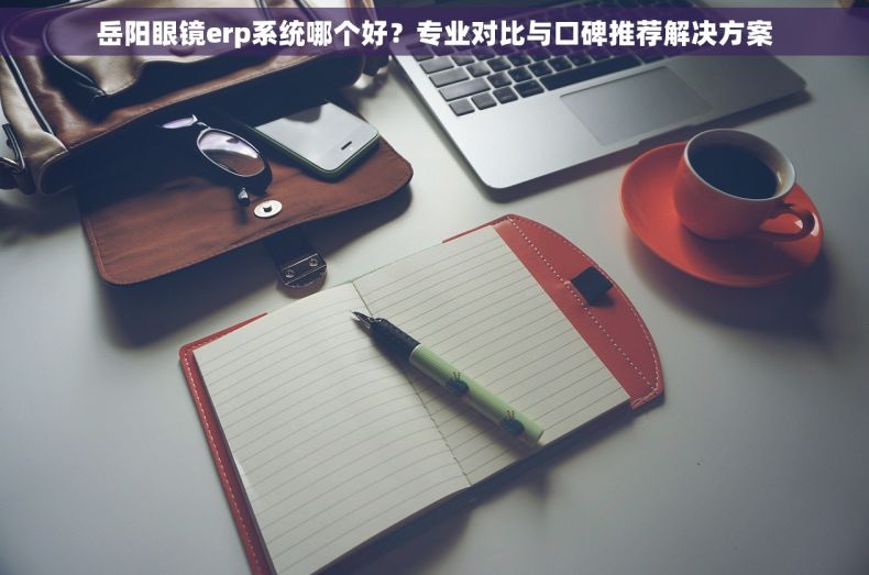 岳阳眼镜erp系统哪个好？专业对比与口碑推荐解决方案
