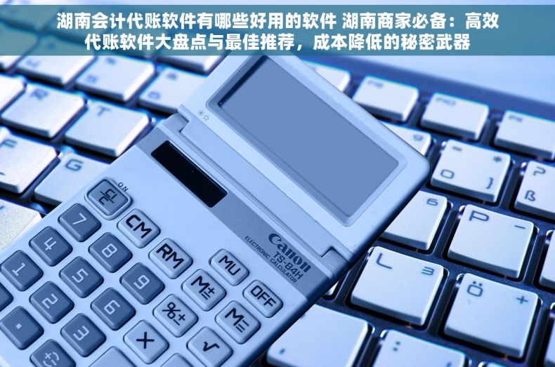 湖南会计代账软件有哪些好用的软件 湖南商家必备：高效代账软件大盘点与最佳推荐，成本降低的秘密武器