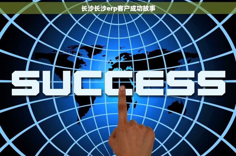 长沙长沙erp客户成功故事