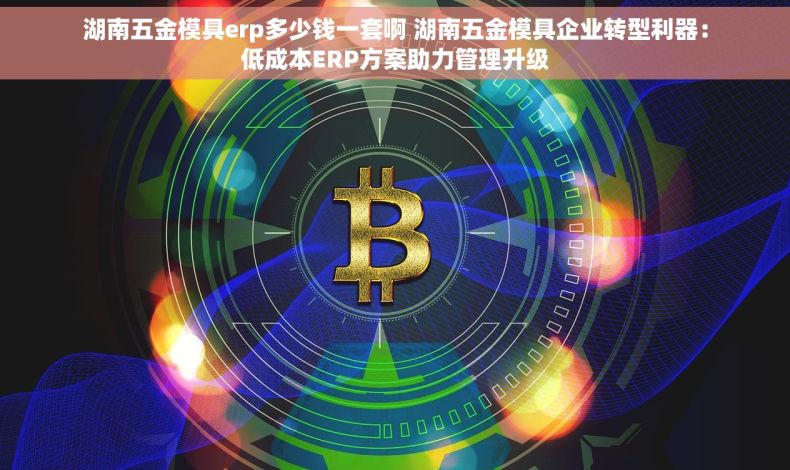 湖南五金模具erp多少钱一套啊 湖南五金模具企业转型利器：低成本ERP方案助力管理升级