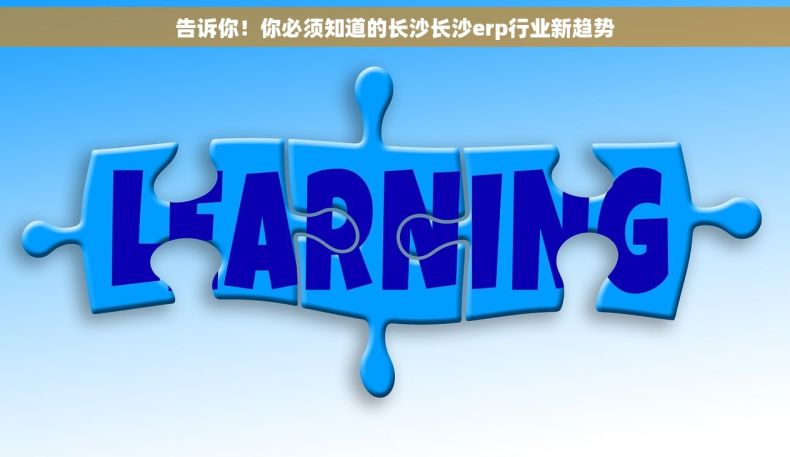 告诉你！你必须知道的长沙长沙erp行业新趋势
