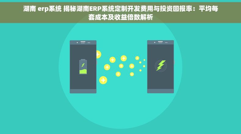湖南 erp系统 揭秘湖南ERP系统定制开发费用与投资回报率：平均每套成本及收益倍数解析