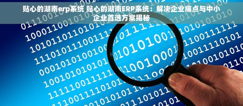 贴心的湖南erp系统 贴心的湖南ERP系统：解决企业痛点与中小企业首选方案揭秘