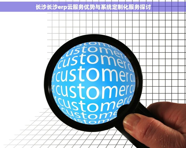 长沙长沙erp云服务优势与系统定制化服务探讨