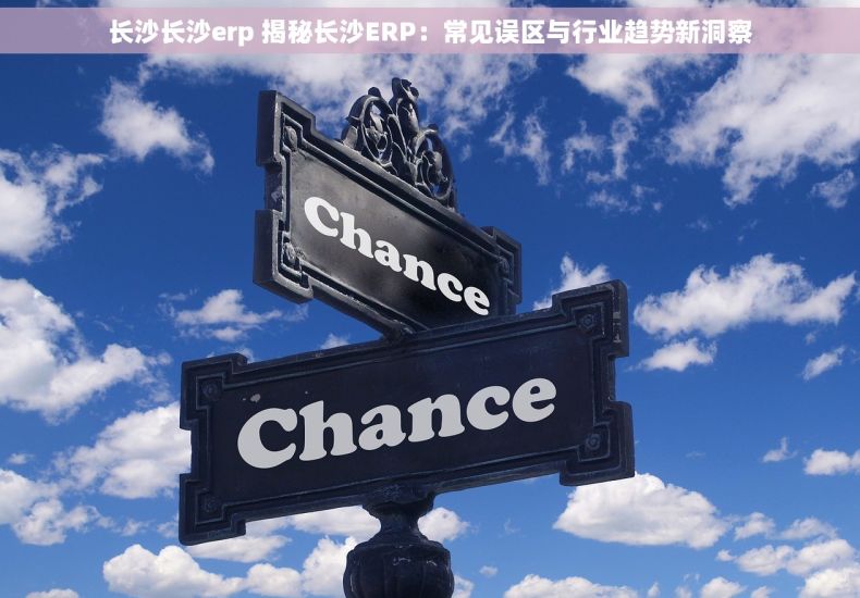 长沙长沙erp 揭秘长沙ERP：常见误区与行业趋势新洞察