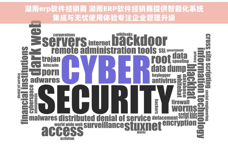湖南erp软件经销商 湖南ERP软件经销商提供智能化系统集成与无忧使用体验专注企业管理升级