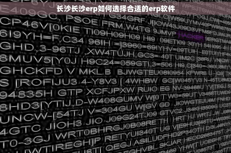 长沙长沙erp如何选择合适的erp软件