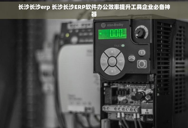 长沙长沙erp 长沙长沙ERP软件办公效率提升工具企业必备神器