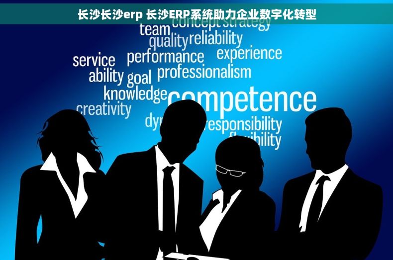 长沙长沙erp 长沙ERP系统助力企业数字化转型
